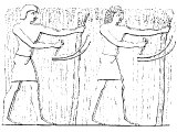 Reaping in Egypt